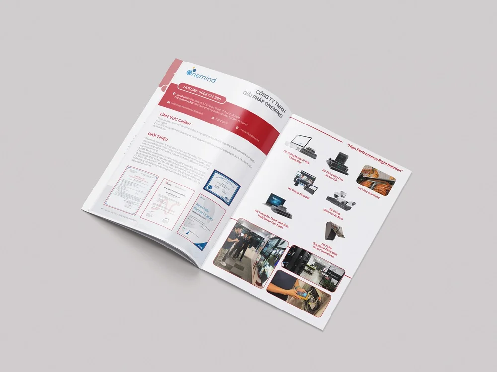 hợp tác xã miền nam