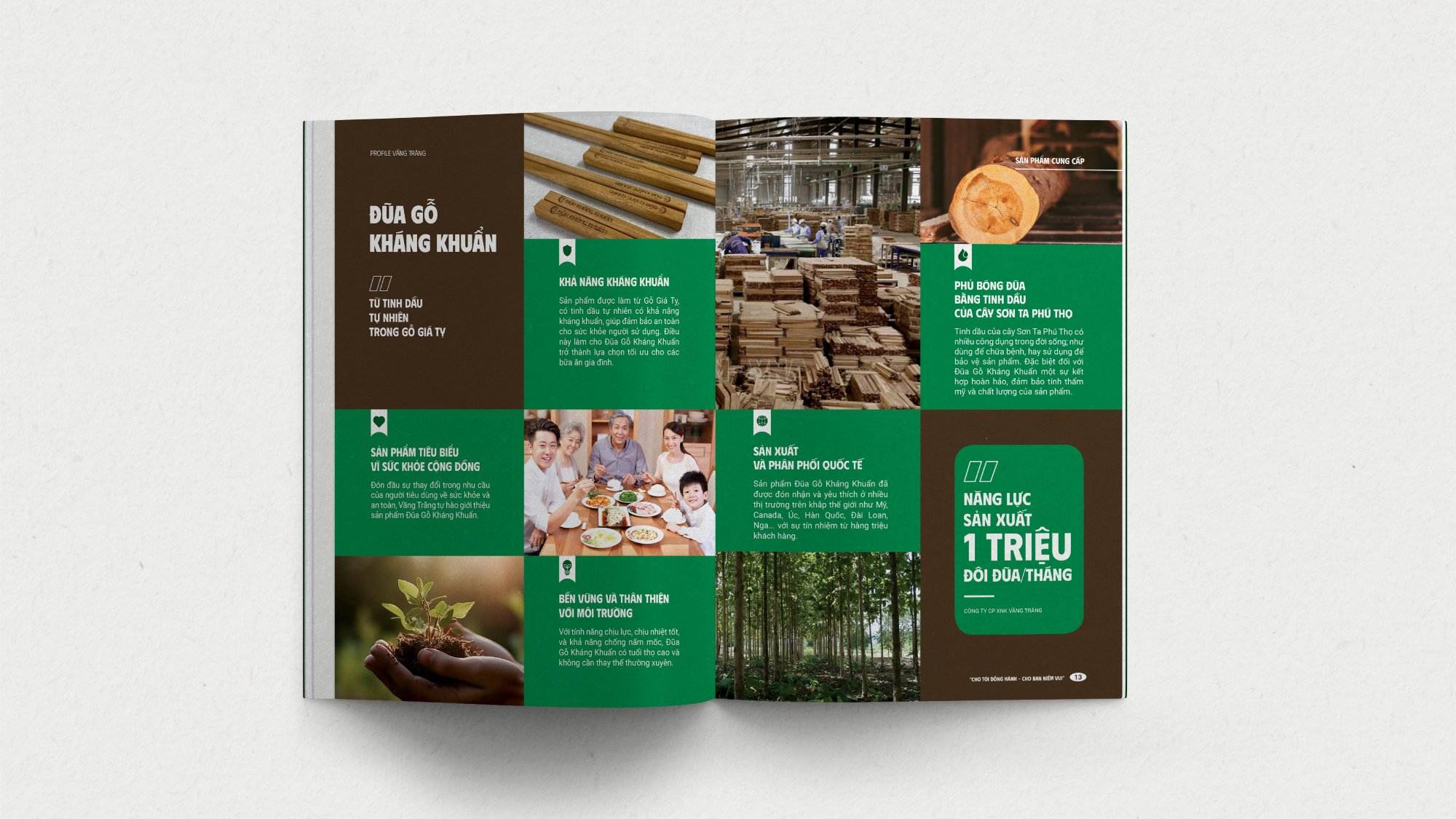 profile vầng trăng